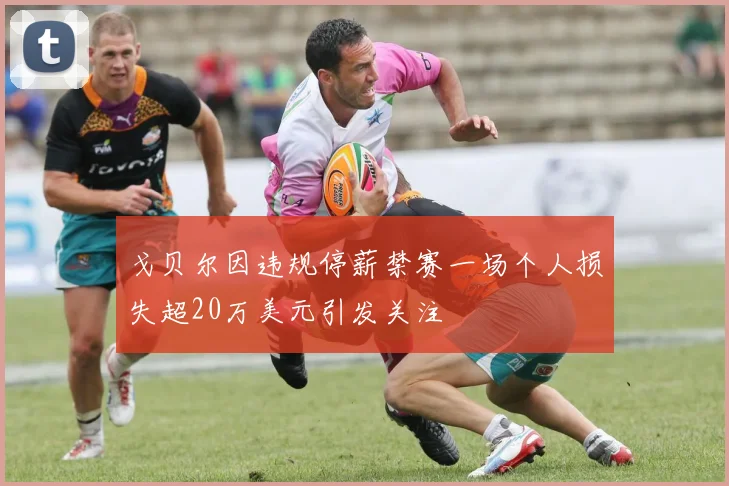 戈贝尔因违规停薪禁赛一场个人损失超20万美元引发关注